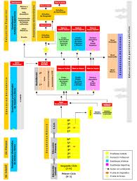 El Sistema Educativo